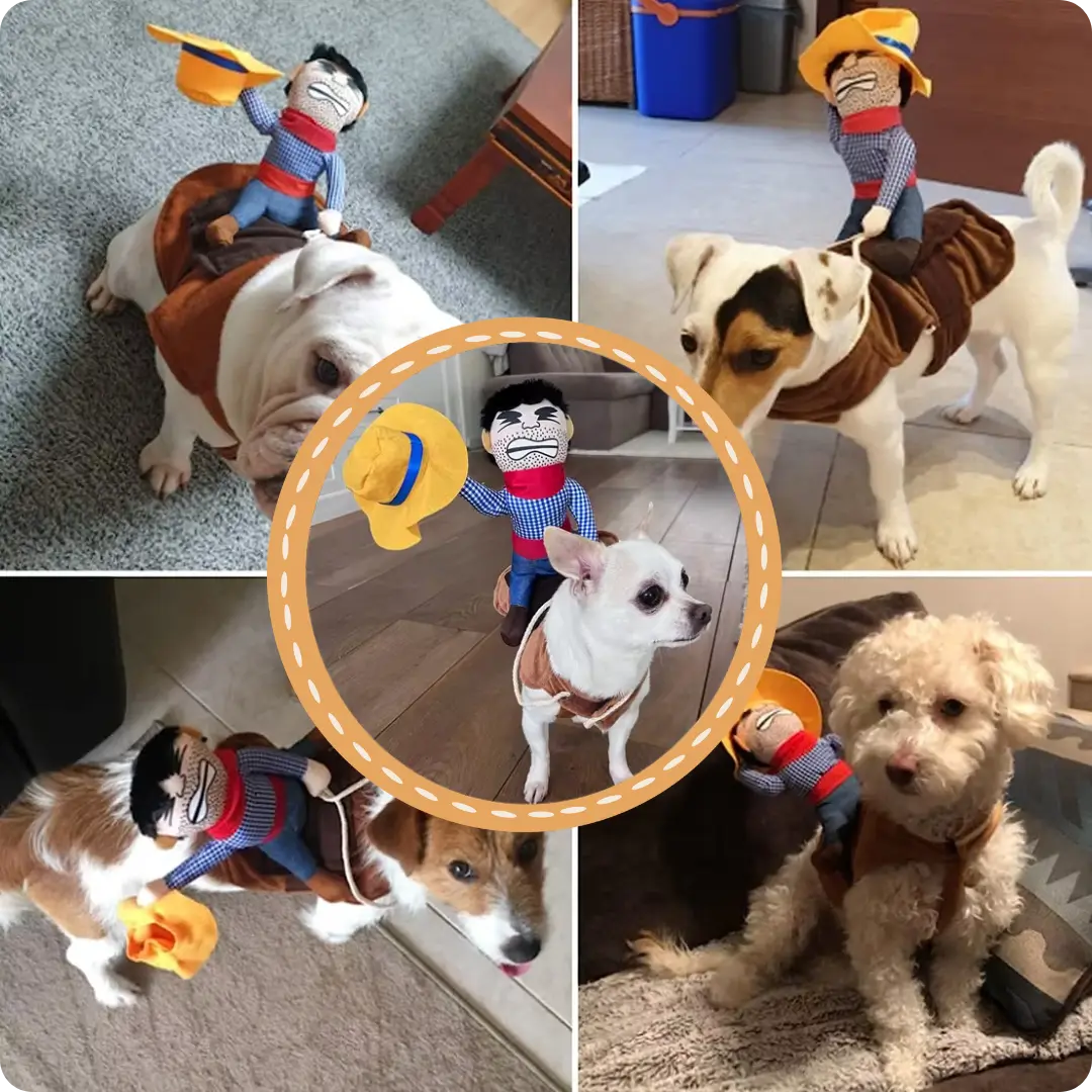 DISFRAZ PARA MASCOTAS JINETE LOCO
